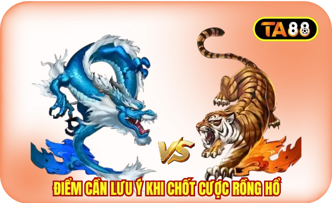Những điểm cần lưu ý khi chốt cược Rồng Hổ