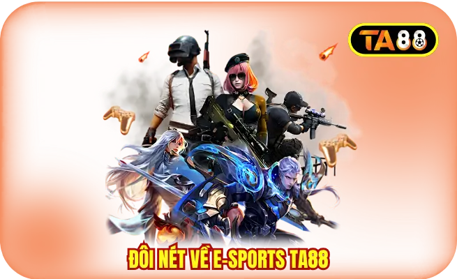 doi net ve e sports ta88 Đôi nét về E-Sports TA88