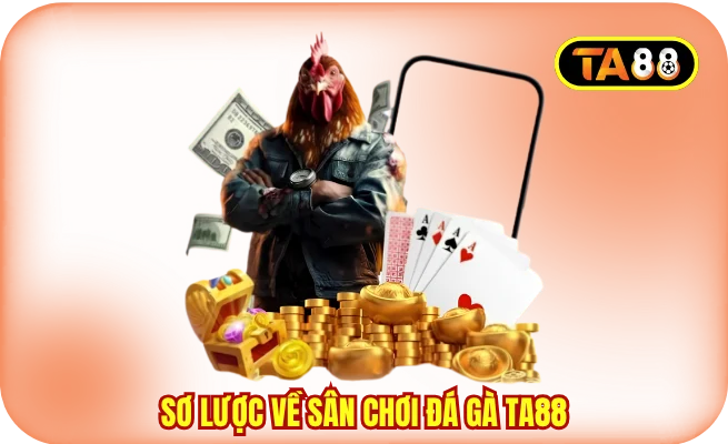 Sơ lược về sân chơi đá gà TA88