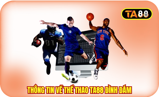 thong tin ve the thao ta88 dinh dam Thông tin về thể thao TA88 đình đám