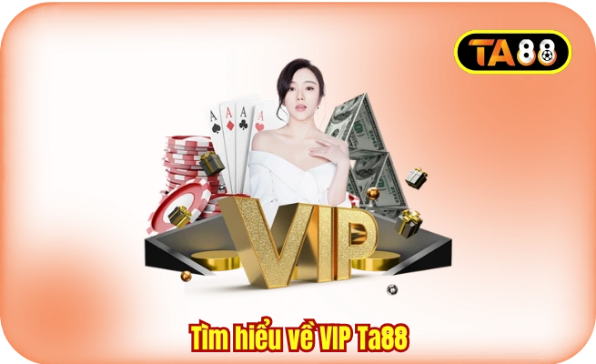 Tìm hiểu về VIP Ta88