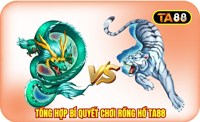 Tổng hợp bí quyết chơi Rồng Hổ TA88