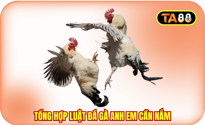 Tổng hợp luật đá gà anh em cần nắm